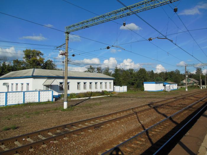 Справочная станции Холщевики