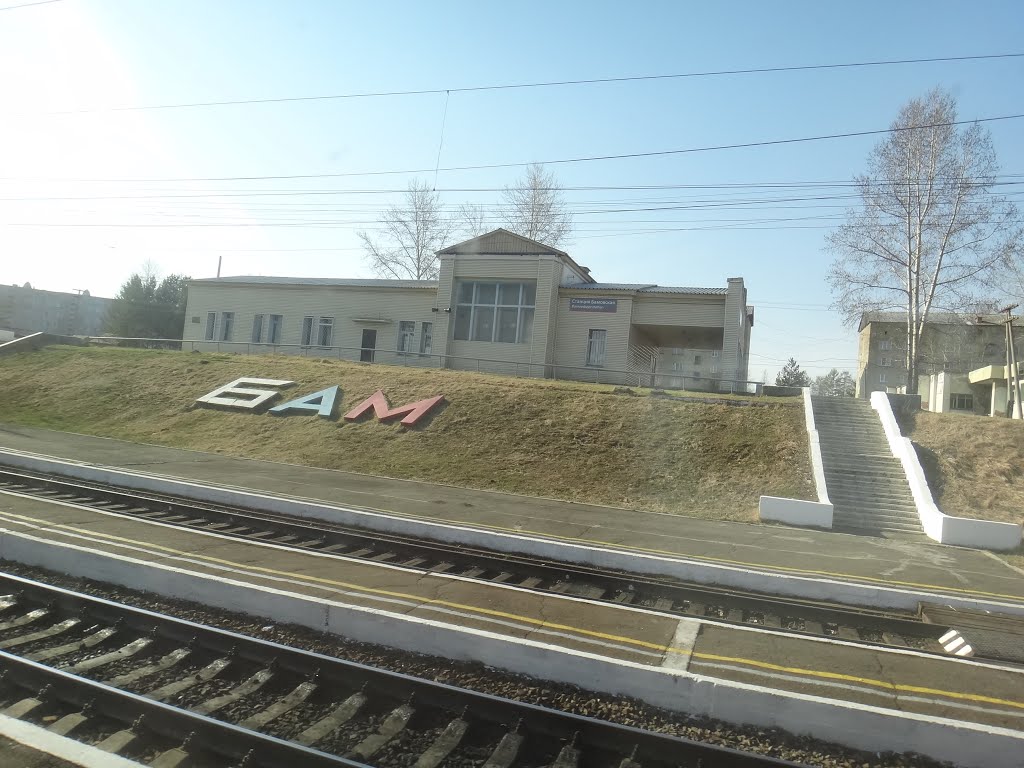 Здание вокзала станции Бамовская. Расписание электричек и поездов по станции Бамовская