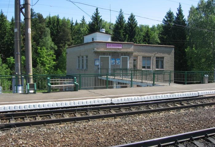 Станция Детково